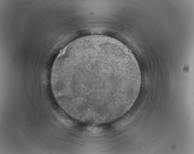 X0000116760311201001281617