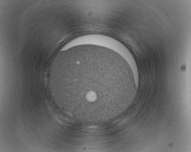 X0000116760312201001281617