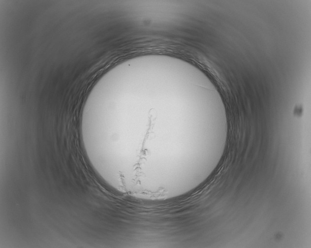 X0000116760313201001281617