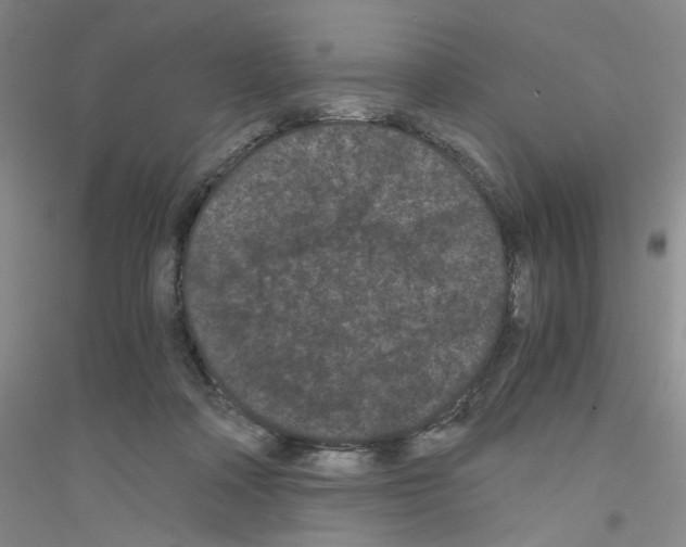 X0000116760314201001281617