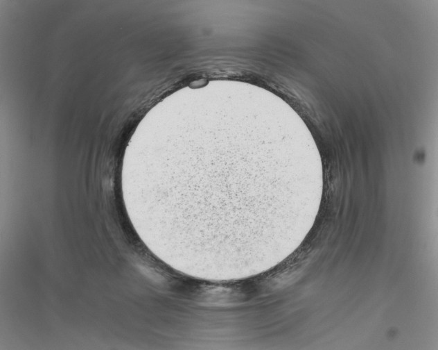 X0000116760315201001281617