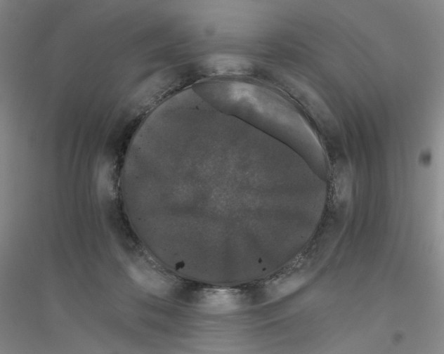 X0000116760316201001281617