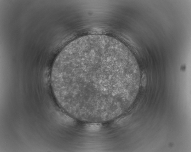 X0000116760318201001281617