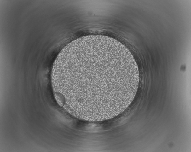 X0000116760319201001281617