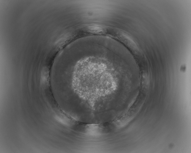 X0000116760320201001281617