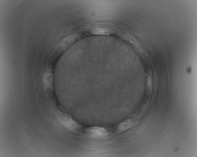 X0000116760322201001281617