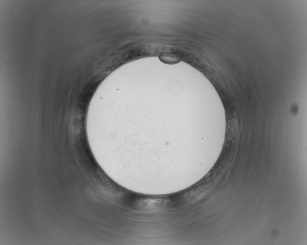 X0000116760323201001281617