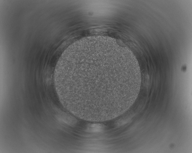 X0000116760324201001281617