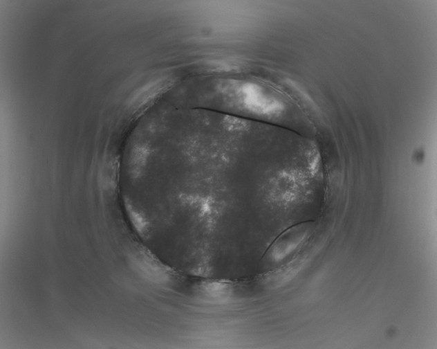 X0000116760325201001281617