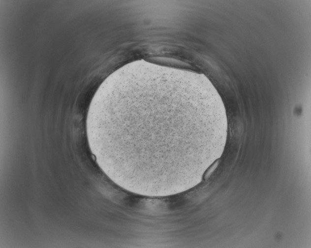 X0000116760327201001281617