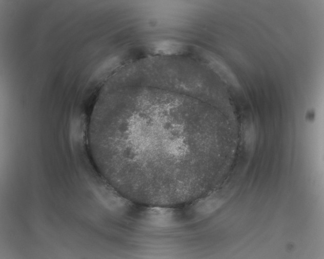 X0000116760328201001281617