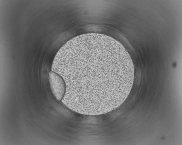 X0000116760330201001281617