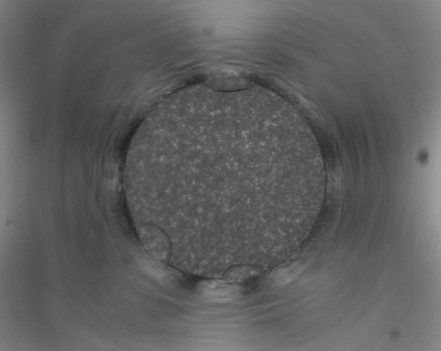 X0000116760331201001281617