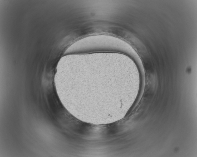 X0000116760333201001281617