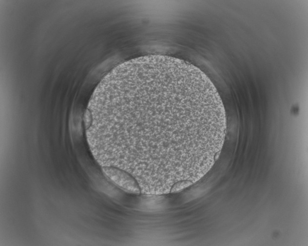 X0000116760334201001281617