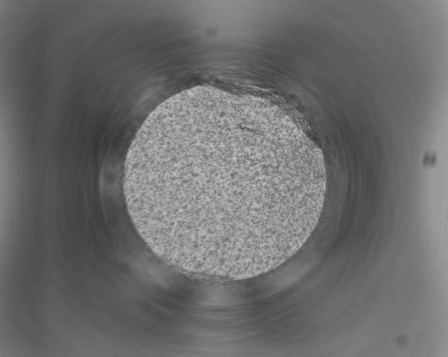 X0000116760336201001281617