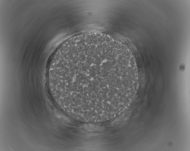 X0000116760338201001281616