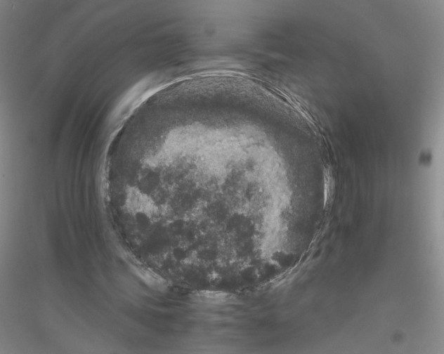 X0000116760339201001281616