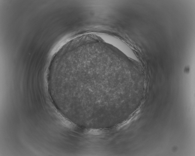 X0000116760341201001281616