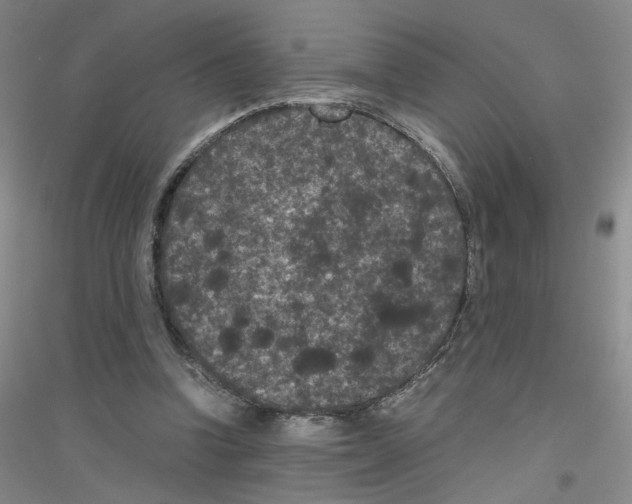 X0000116760346201001281616