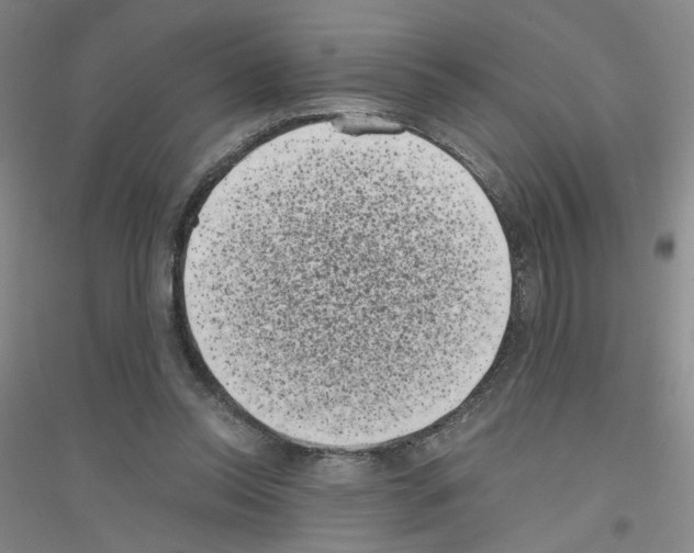 X0000116760350201001281616