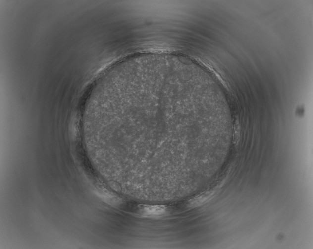 X0000116760355201001281616