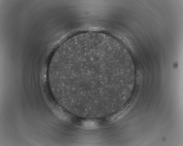 X0000116760358201001281616