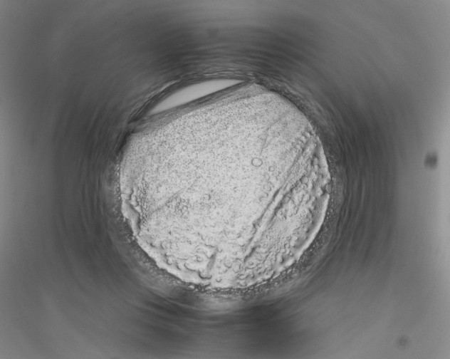 X0000116760359201001281617