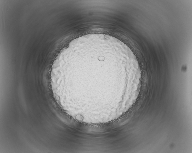 X0000116760361201001281617