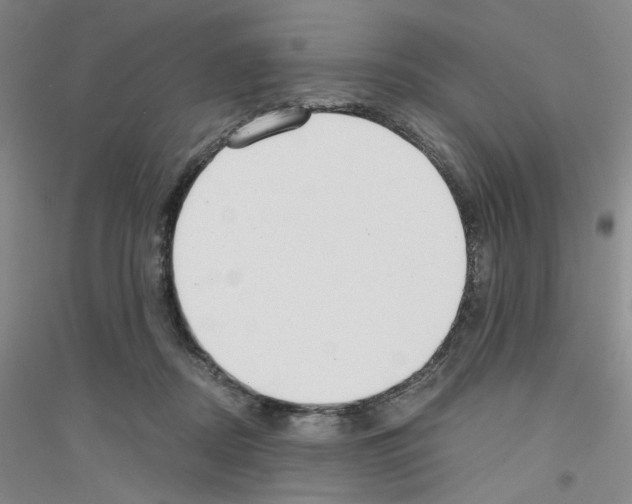 X0000116760362201001281617