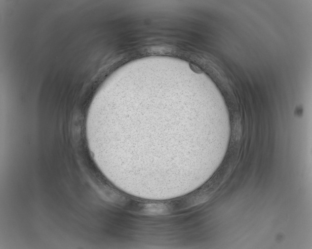 X0000116760363201001281617