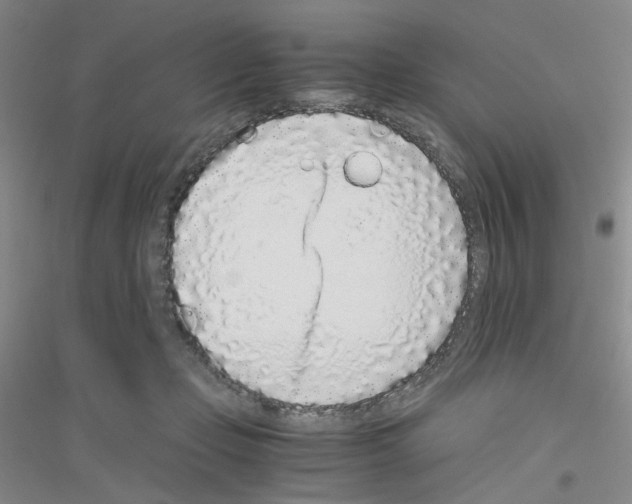 X0000116760365201001281617