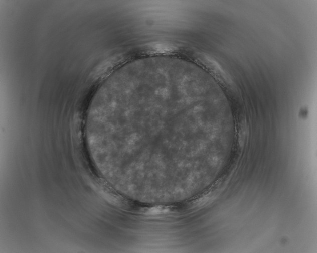 X0000116760366201001281617