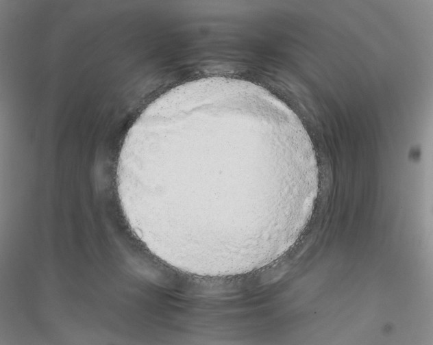 X0000116760367201001281617