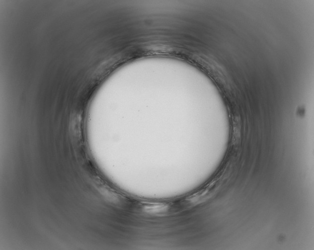 X0000116760369201001281617