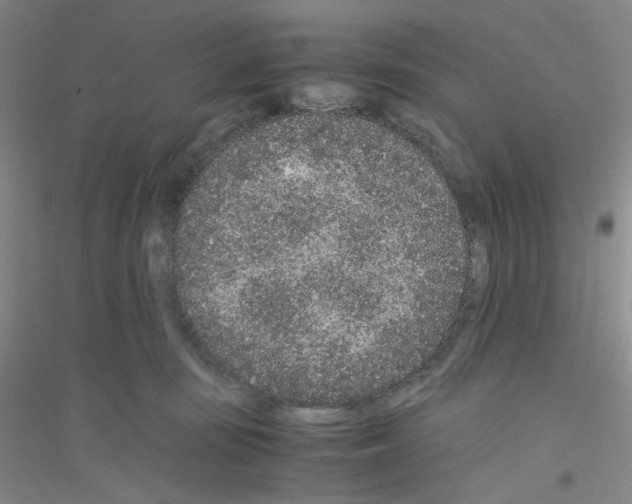 X0000116760371201001281617