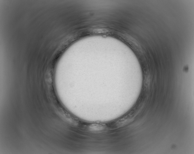 X0000116760373201001281617