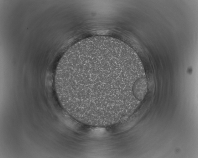 X0000116760374201001281617