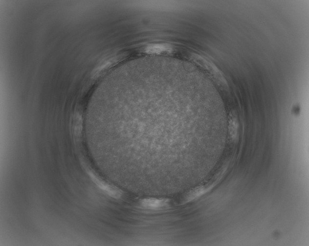 X0000116760375201001281617