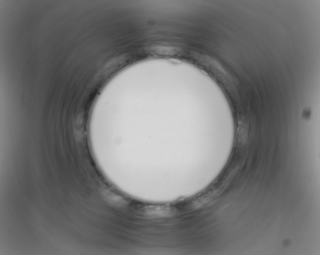 X0000116760377201001281617