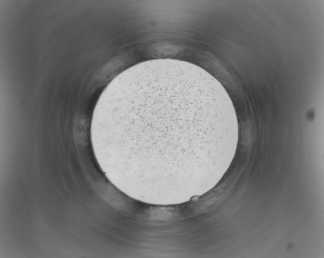 X0000116760378201001281617