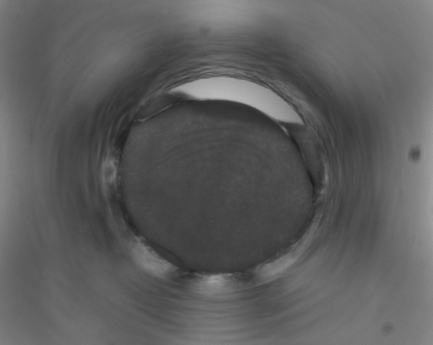 X0000116760382201001281617