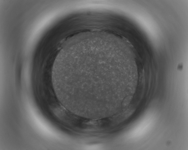 X0000116760383201001281617