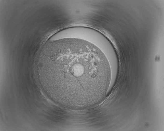 X0000116760385201001281616