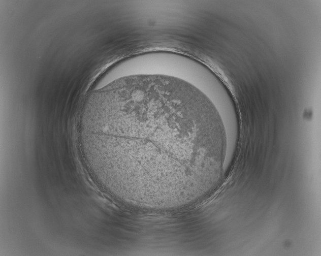 X0000116760386201001281616