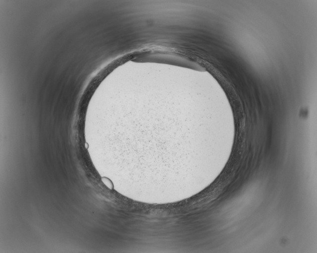 X0000116760388201001281616