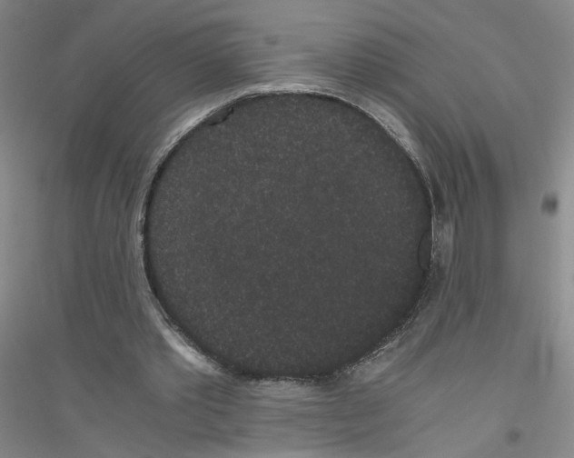 X0000116760389201001281616