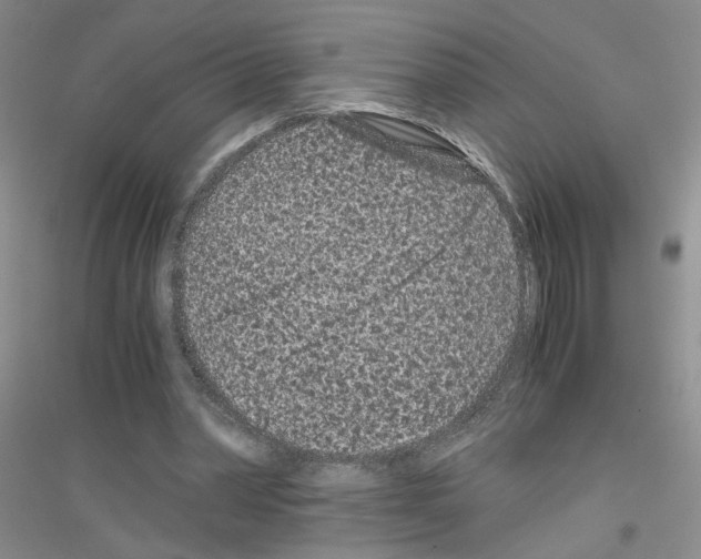 X0000116760390201001281616