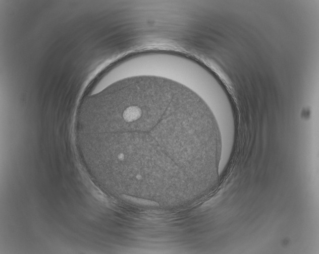 X0000116760391201001281616