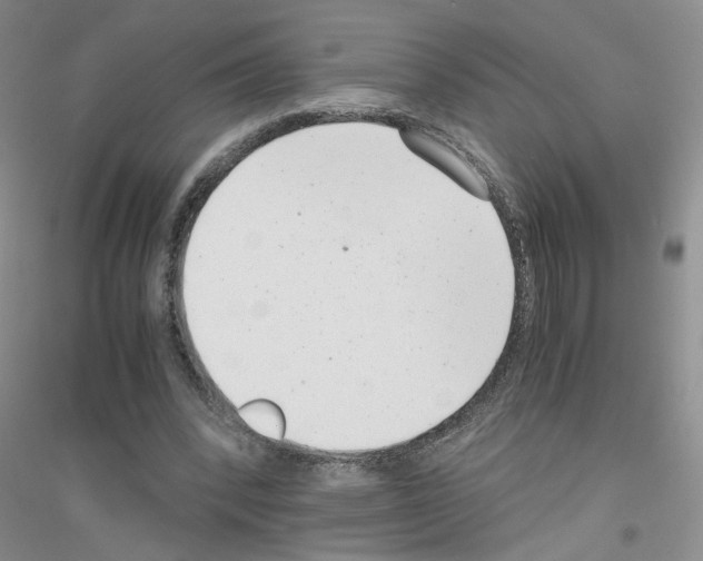 X0000116760392201001281616